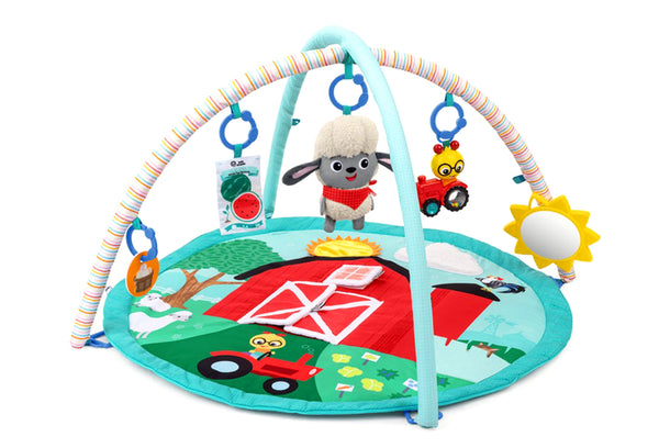 Baby Einstein Farm Explorers Happy Harvest Touch & Feel Activity Gym