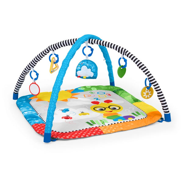Baby Einstein Cal Curiosity Center Play Gym